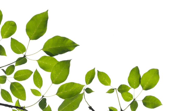 Wippertaler Zeltverleih | Bleicherode